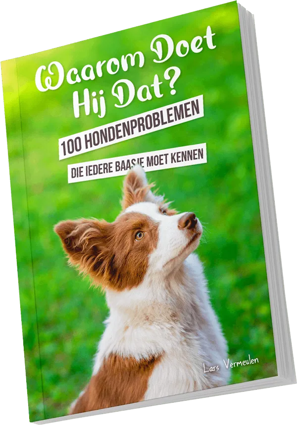 Bonus e-book: Waarom Doet Hij Dat?